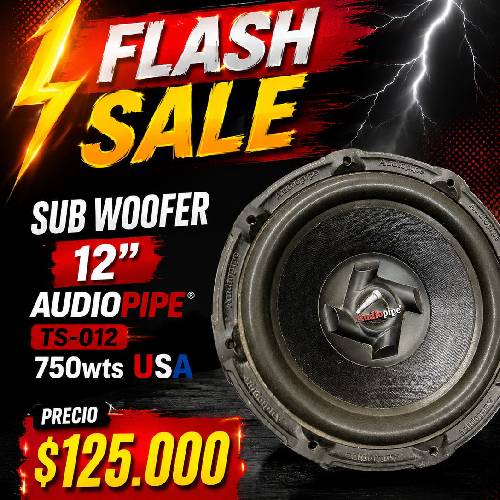SUB WOOFER 12" AUDIOPIPE 750W MADE IN USA